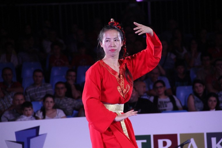 Martial Arts Festival